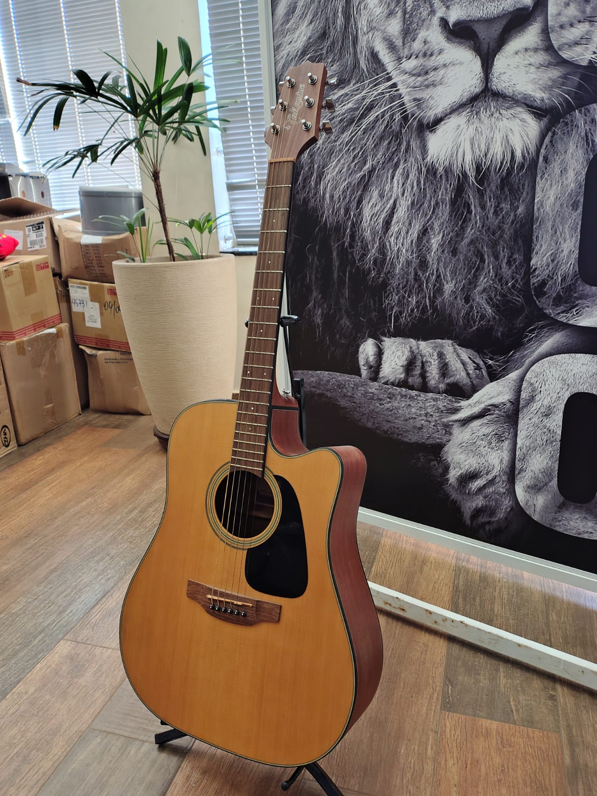 Takamine  GD12CE